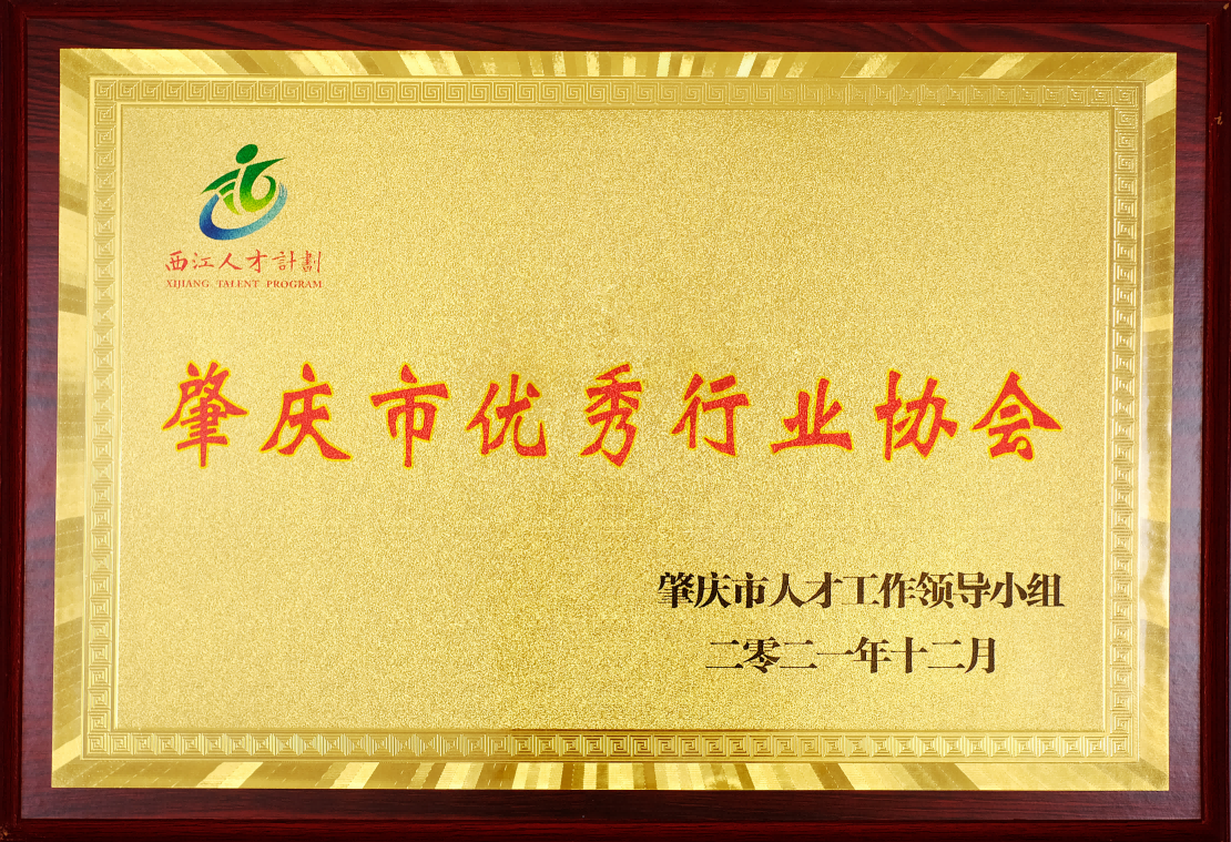 2021年肇慶市優(yōu)秀行業(yè)協(xié)會牌匾.png